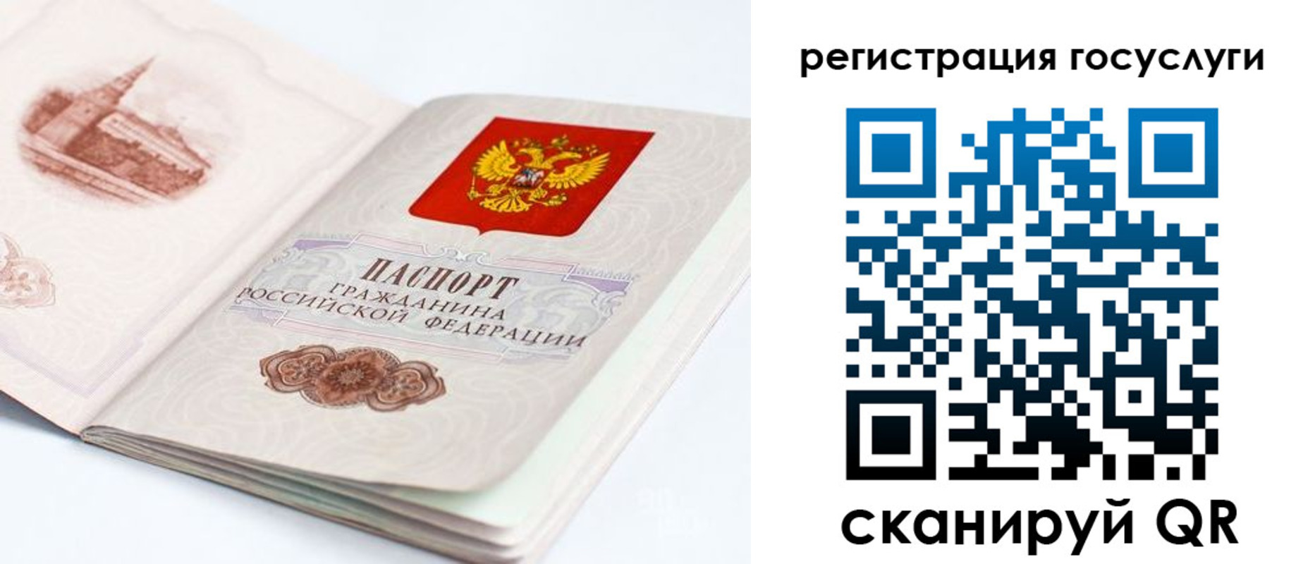 прописка законно в Санкт-Петербурге